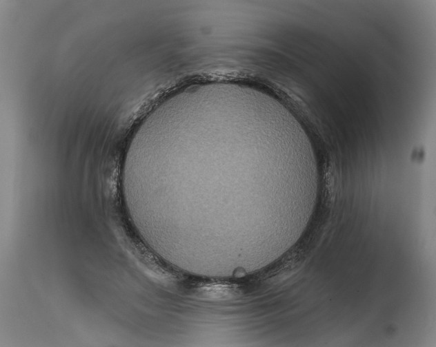 X0000114730499200911121758