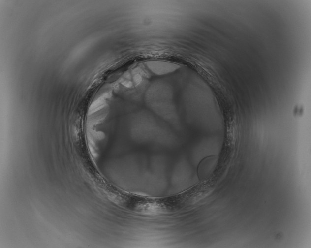 X0000114730503200911121757