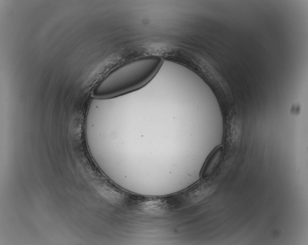 X0000114730505200911121757