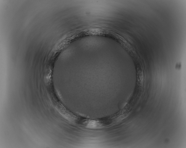 X0000114730507200911121757