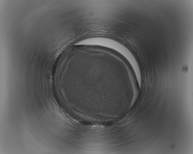 X0000114730508200911121757