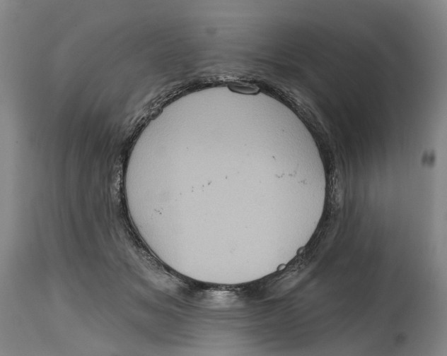 X0000114730509200911121757