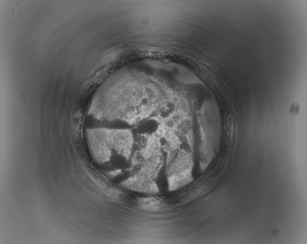 X0000114730511200911121757