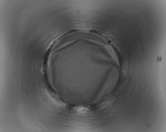 X0000114730512200911121757