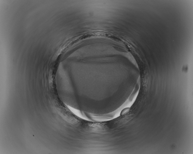 X0000114730516200911121757