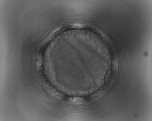 X0000114730517200911121757