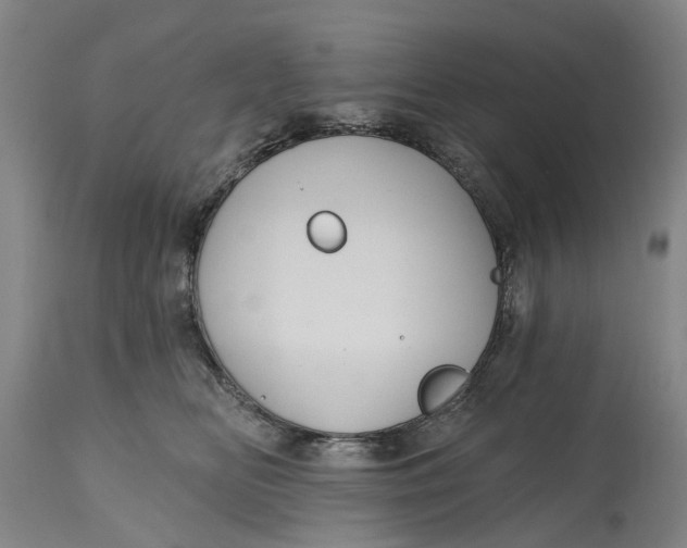 X0000114730518200911121757