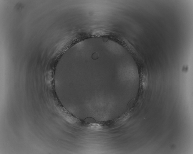 X0000114730519200911121757