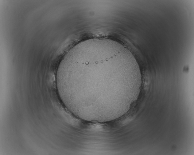 X0000114730523200911121757