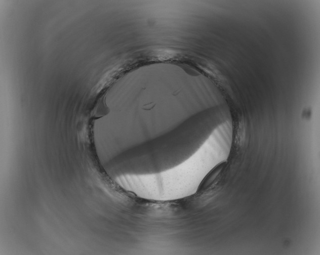 X0000114730524200911121757