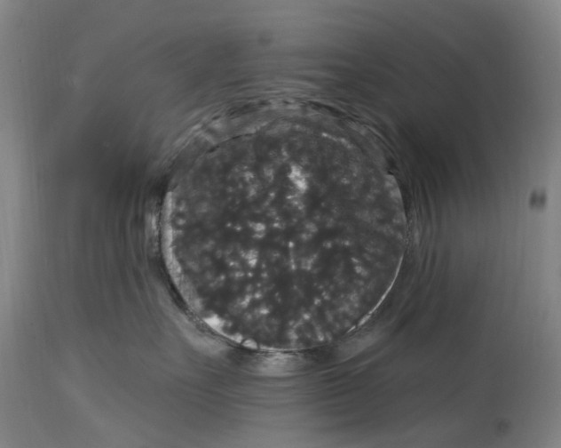 X0000114730527200911121757