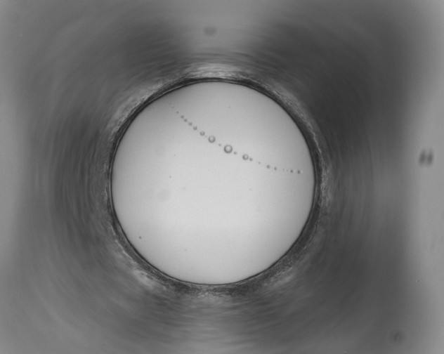 X0000114730529200911121756