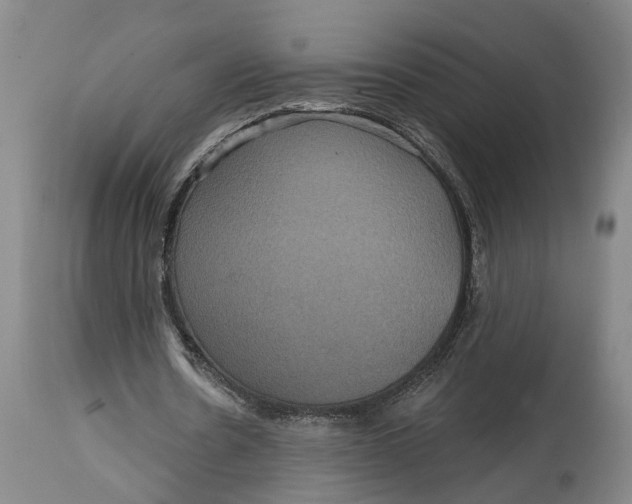 X0000114730530200911121756