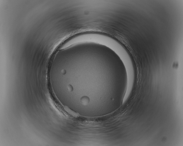 X0000114730534200911121756