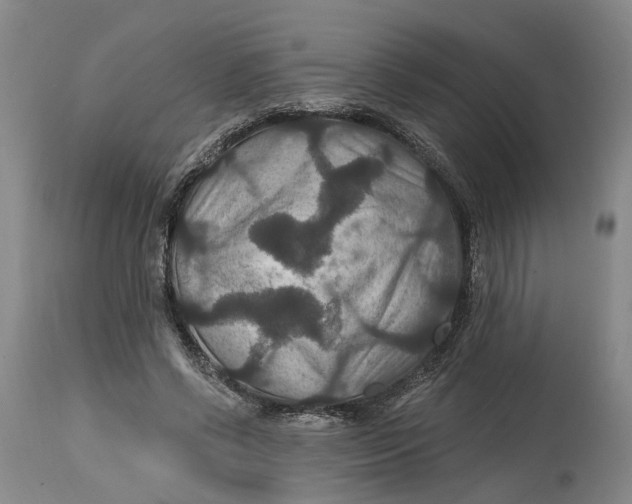 X0000114730542200911121756