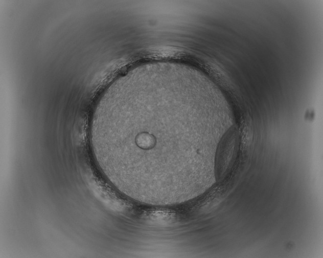 X0000114730546200911121757