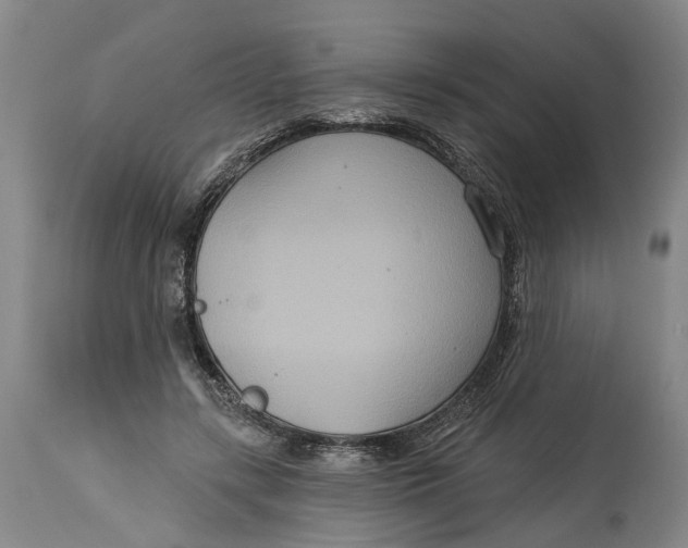 X0000114730547200911121757