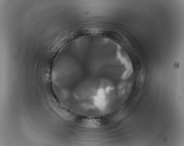 X0000114730553200911121757