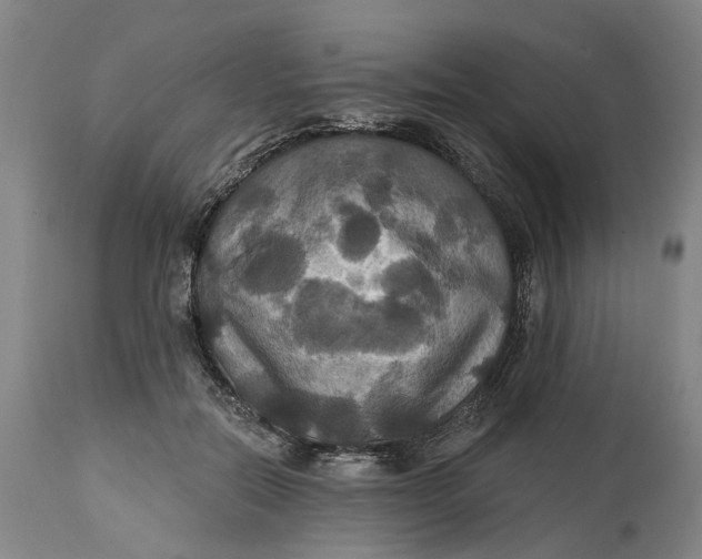 X0000114730554200911121757