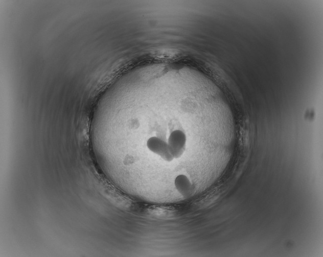 X0000114730561200911121757