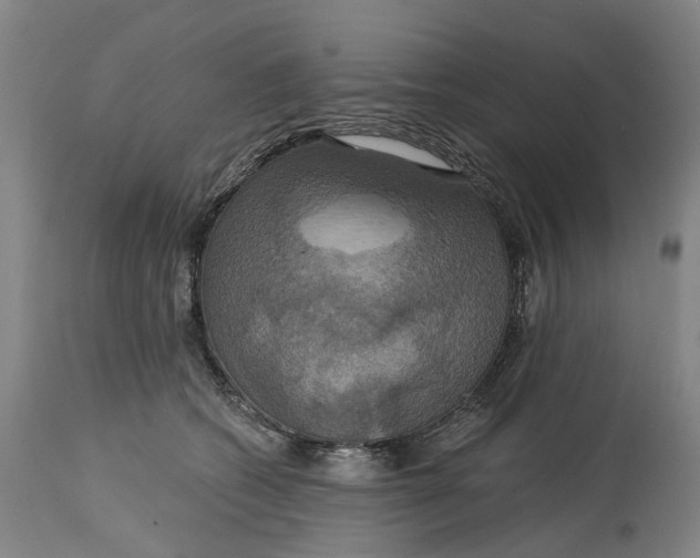 X0000114730562200911121757