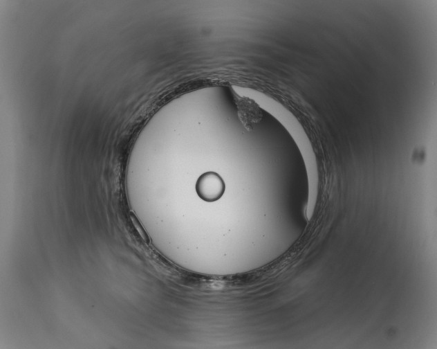 X0000114730565200911121757