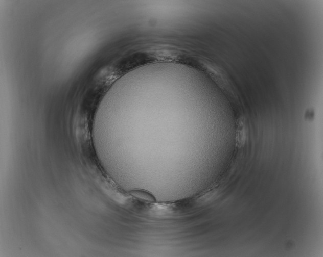 X0000114730573200911121757