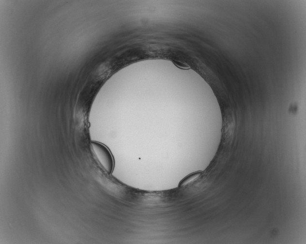 X0000114730574200911121757