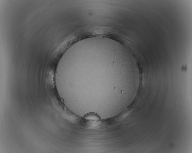 X0000114730575200911121757