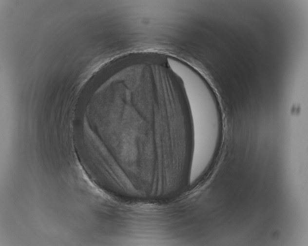 X0000114730577200911121756