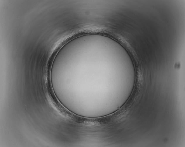 X0000114730582200911121756