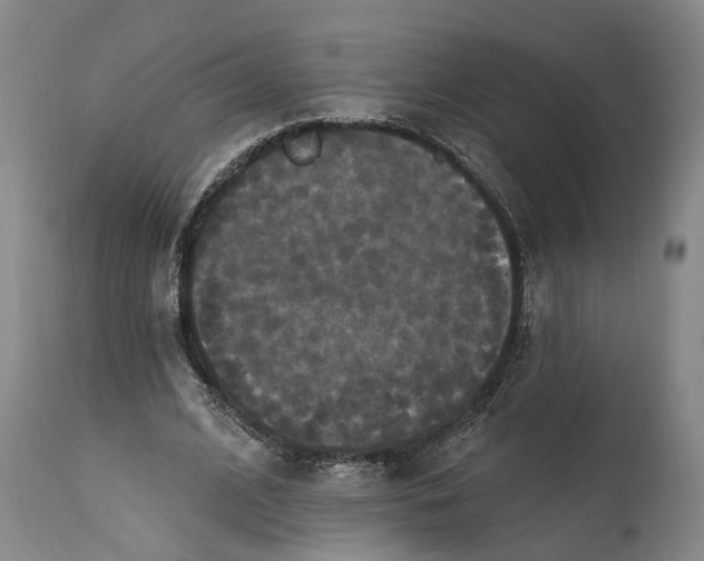 X0000114730584200911121756