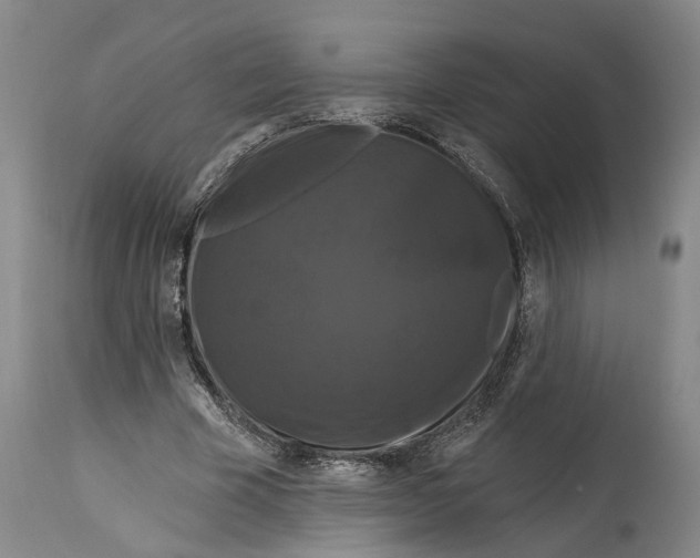 X0000114730585200911121756