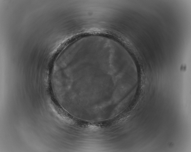 X0000114730592200911121756