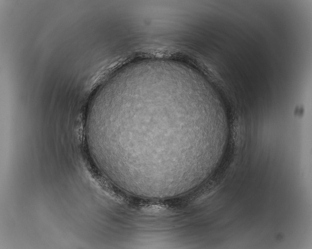 X0000114730594200911121756