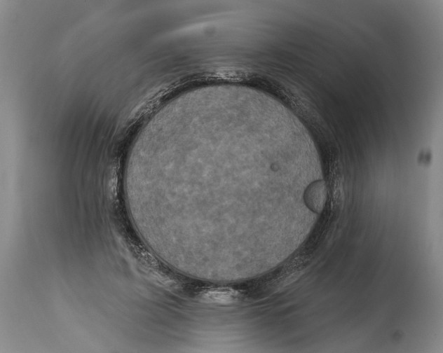 X0000114730595200911121756