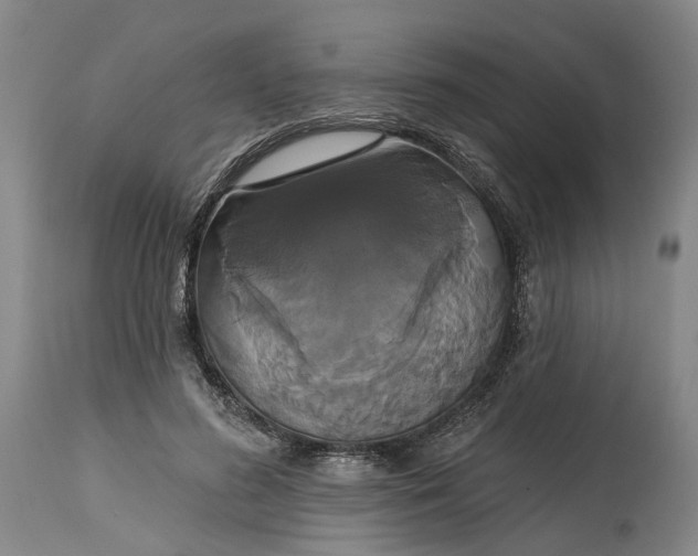 X0000114730596200911121756