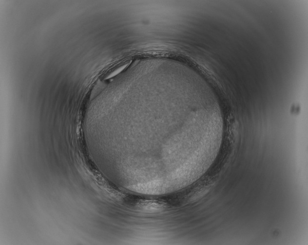 X0000114730597200911121756