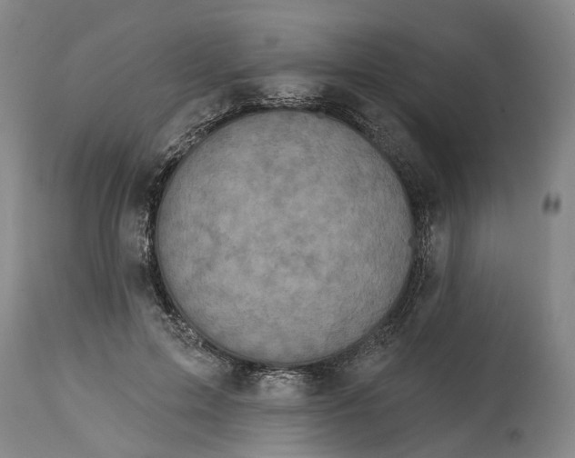 X0000114730599200911121756