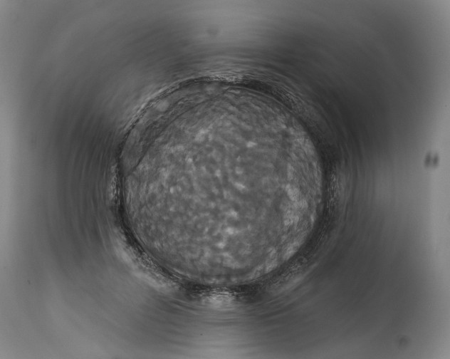 X0000114730600200911121756