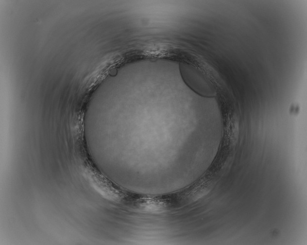 X0000114730601200911121756