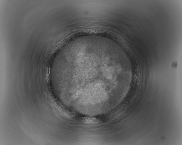 X0000114730605200911121756