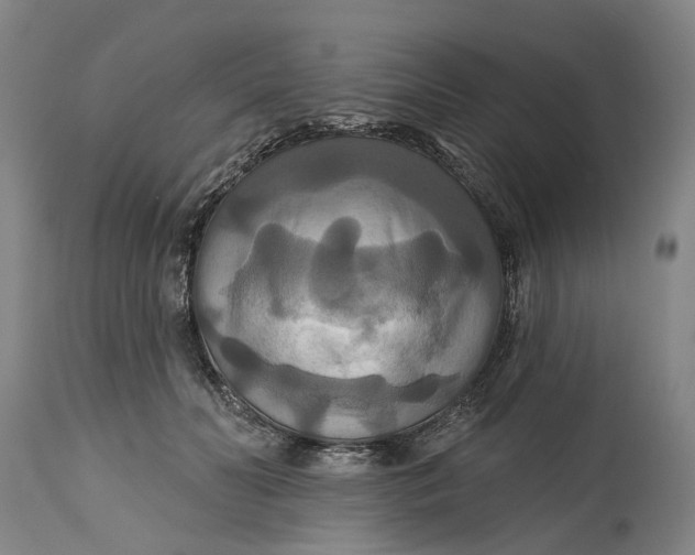 X0000114730606200911121756