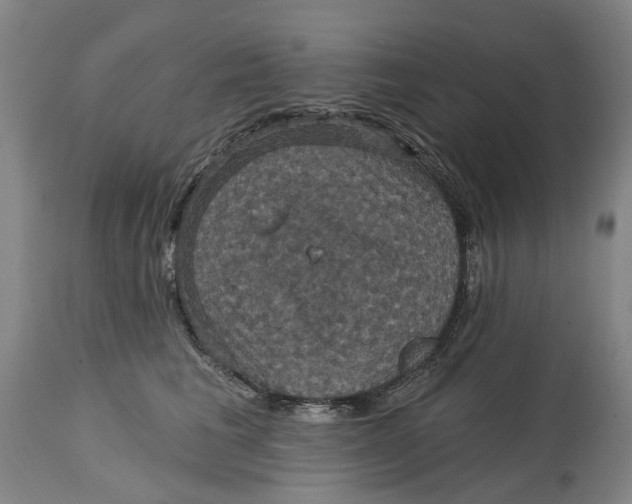 X0000114730613200911121756