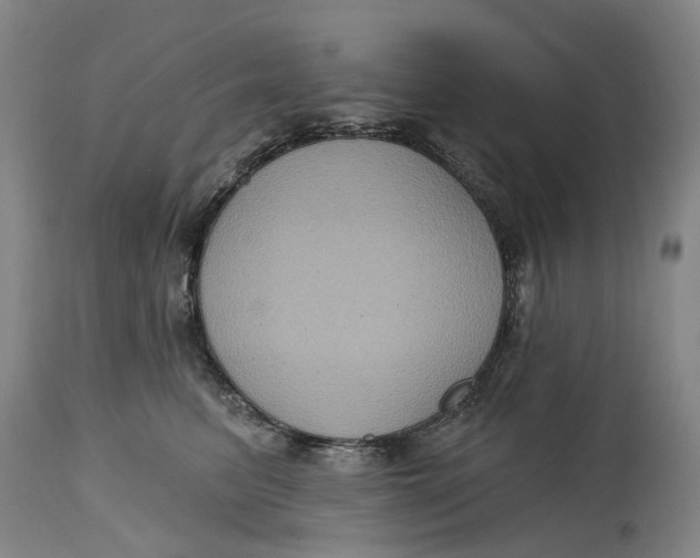 X0000114730615200911121756