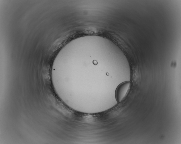 X0000114730616200911121756