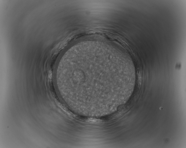 X0000114730617200911121756