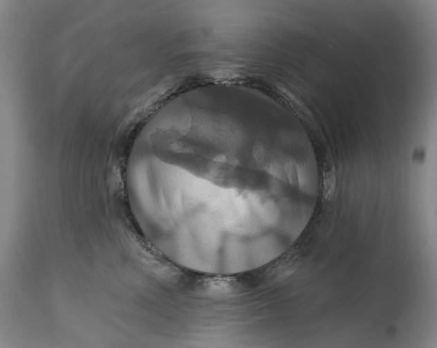 X0000114730618200911121756