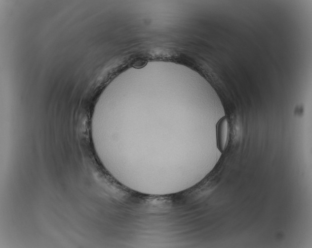 X0000114730619200911121756