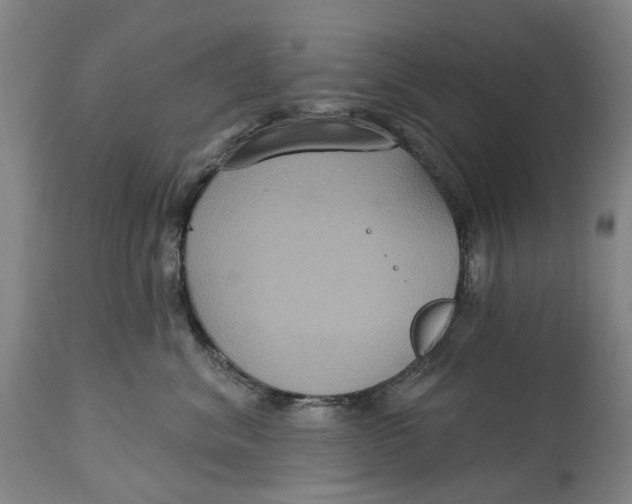 X0000114730620200911121756